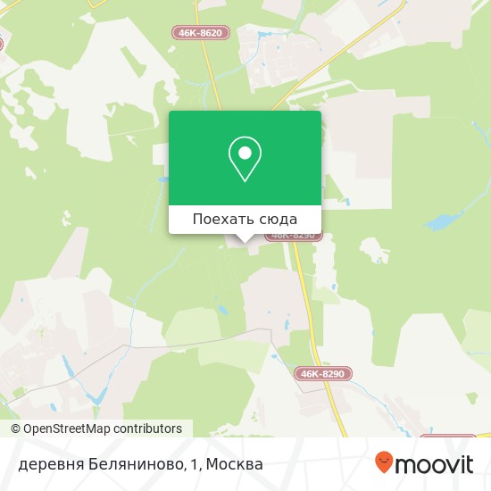 Карта деревня Беляниново, 1