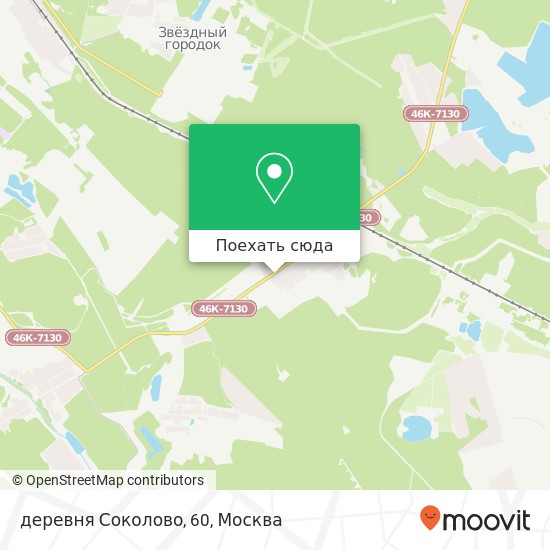 Карта деревня Соколово, 60