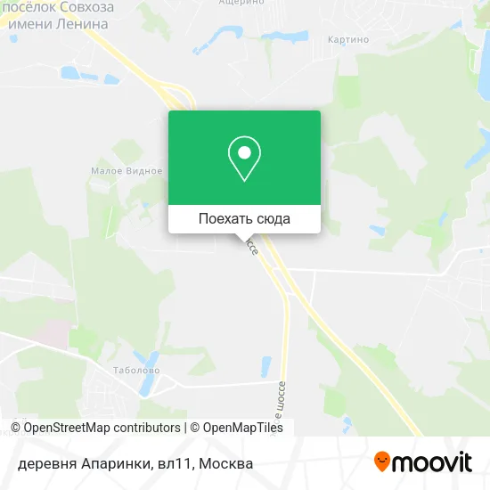 Карта деревня Апаринки, вл11