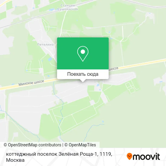 Карта коттеджный поселок Зелёная Роща-1, 1119