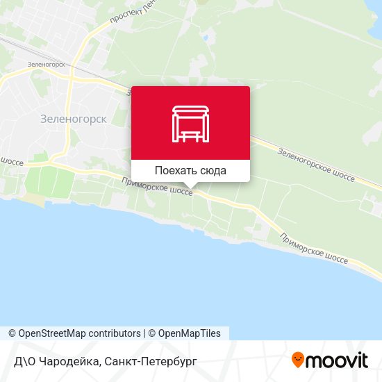 Карта Д\О Чародейка