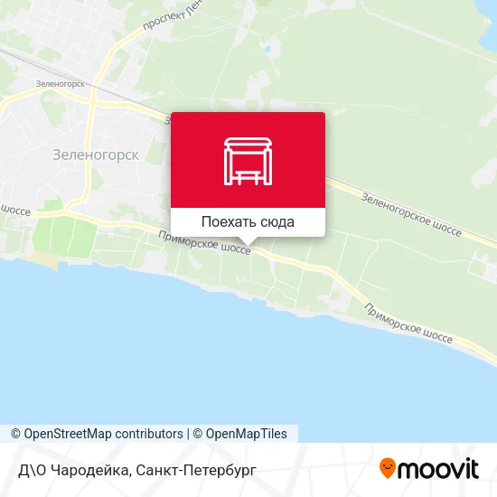 Карта Д\О Чародейка