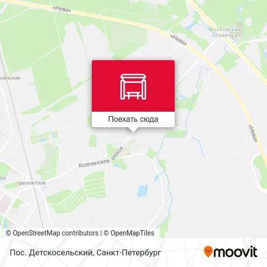Карта Пос. Детскосельский