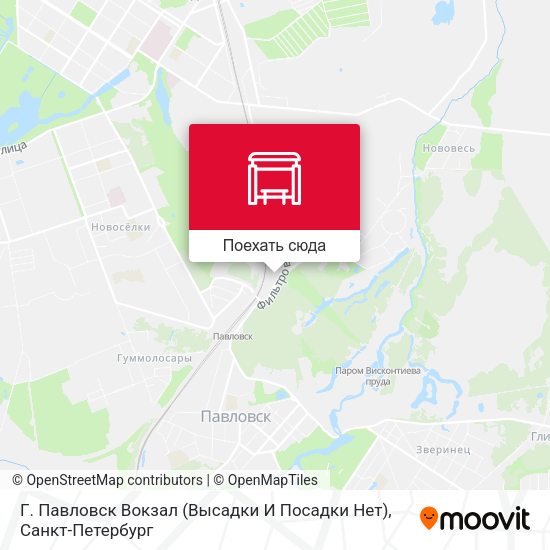 Карта Г. Павловск Вокзал (Высадки И Посадки Нет)