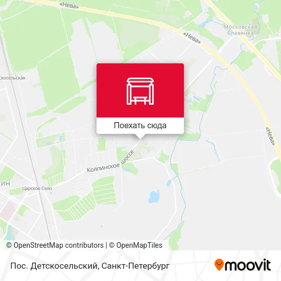 Карта Пос. Детскосельский
