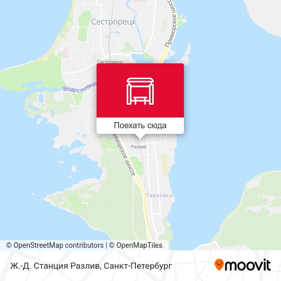Карта Ж.-Д. Станция Разлив