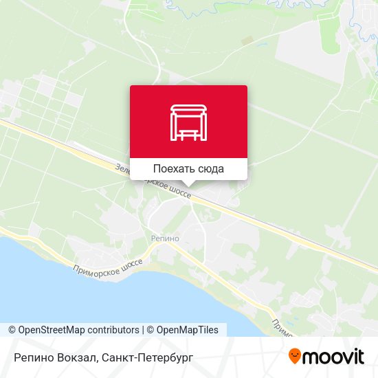 Карта Репино Вокзал