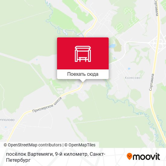 Карта посёлок Вартемяги, 9-й километр