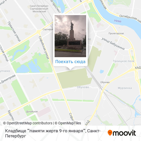 Схема кладбища жертв 9 января спб