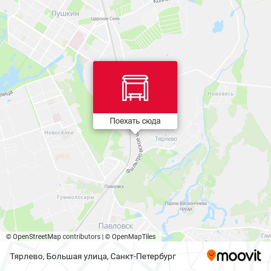 Карта Тярлево, Большая улица