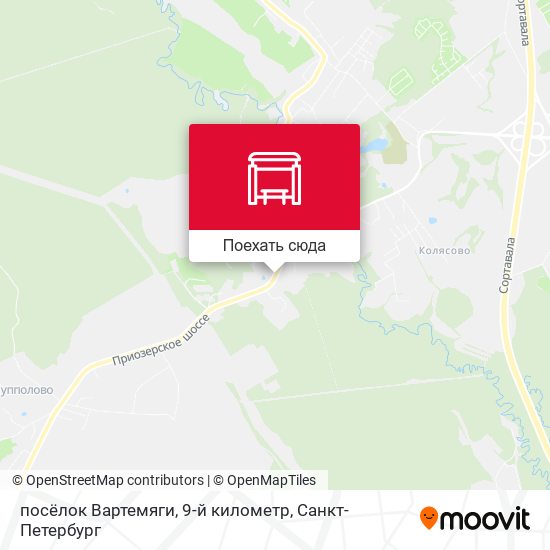 Карта посёлок Вартемяги, 9-й километр
