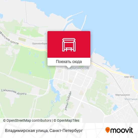 Карта Владимирская улица