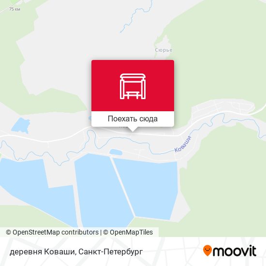Карта деревня Коваши