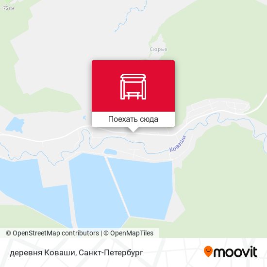 Карта деревня Коваши