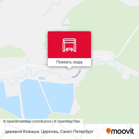 Карта деревня Коваши, Церковь