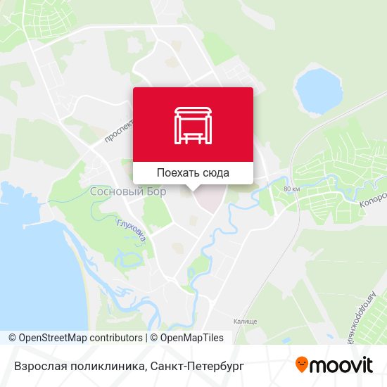 Карта Взрослая поликлиника