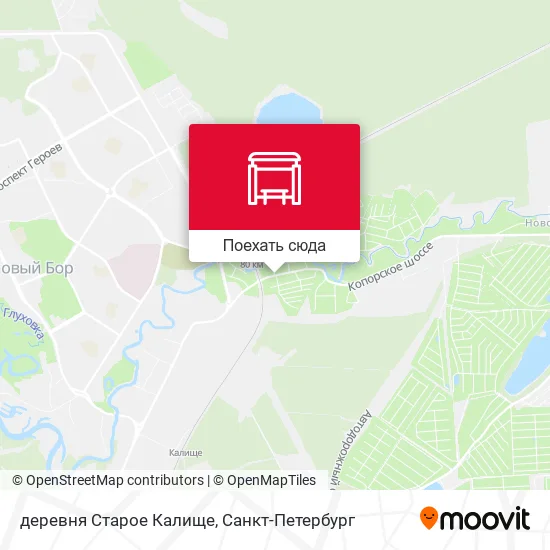 Карта деревня Старое Калище