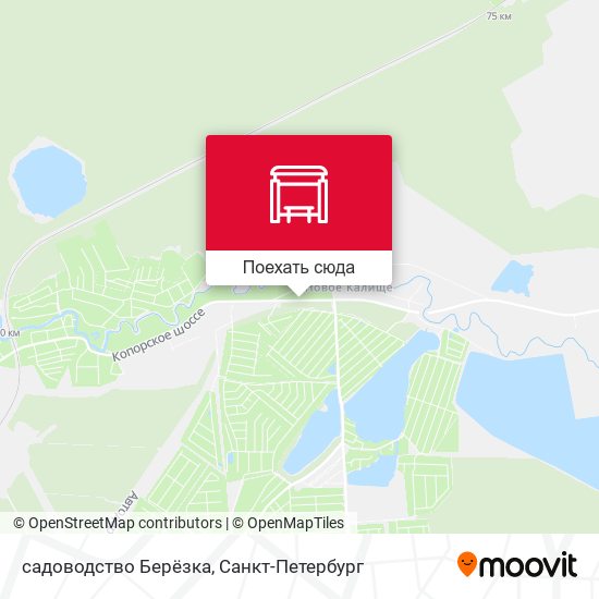 Карта садоводство Берёзка