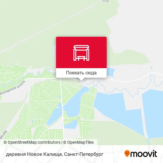 Карта деревня Новое Калище