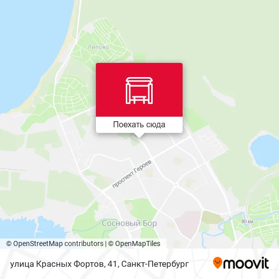 Карта улица Красных Фортов, 41