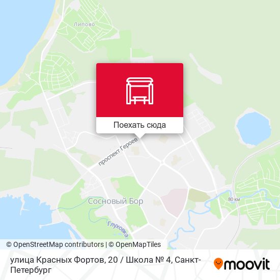 Карта улица Красных Фортов, 20 / Школа № 4