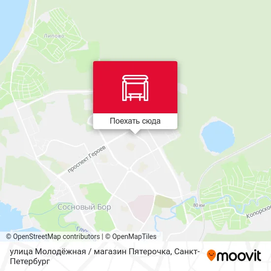 Карта улица Молодёжная / магазин Пятерочка