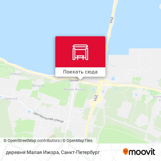 Карта деревня Малая Ижора