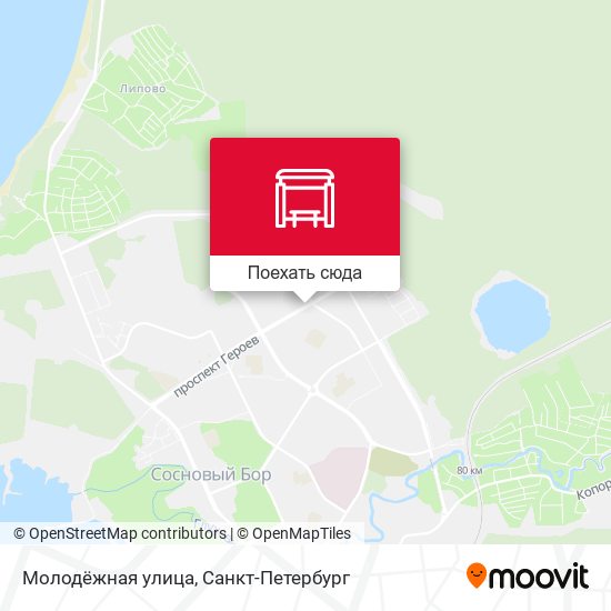 Карта Молодёжная улица
