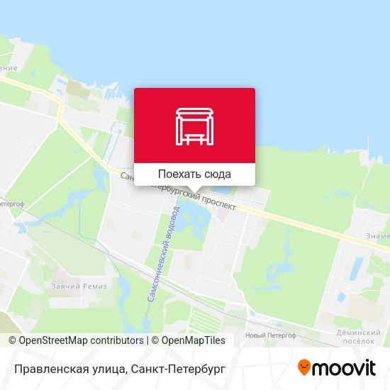 Карта Правленская улица