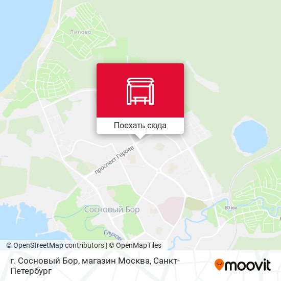 Карта г. Сосновый Бор, магазин Москва