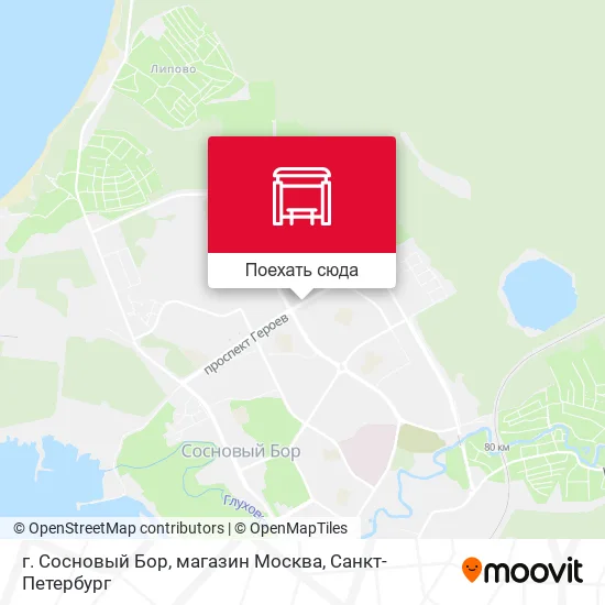 Карта г. Сосновый Бор, магазин Москва