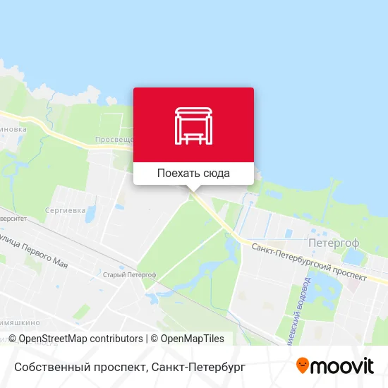 Карта Собственный проспект