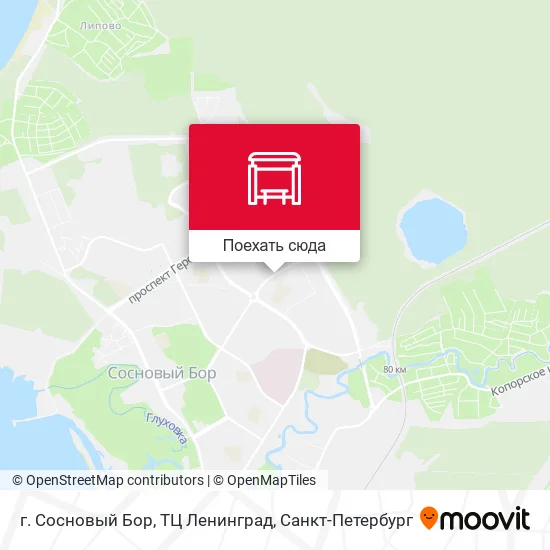 Карта г. Сосновый Бор, ТЦ Ленинград