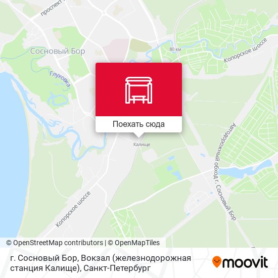 Калище сосновый бор санкт петербург