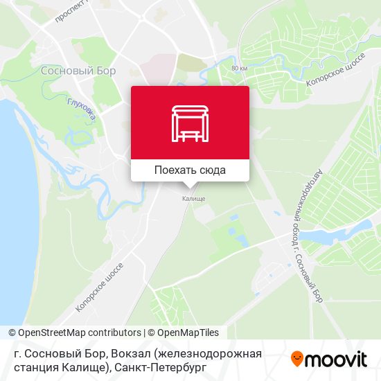 Карта г. Сосновый Бор, Вокзал (железнодорожная станция Калище)