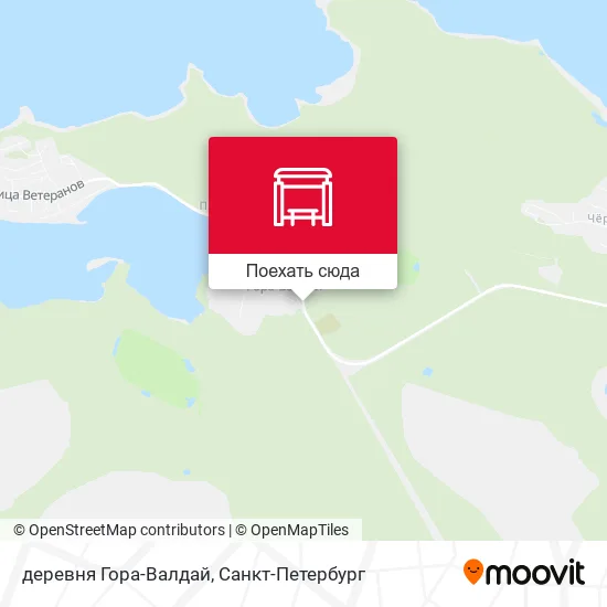 Карта деревня Гора-Валдай