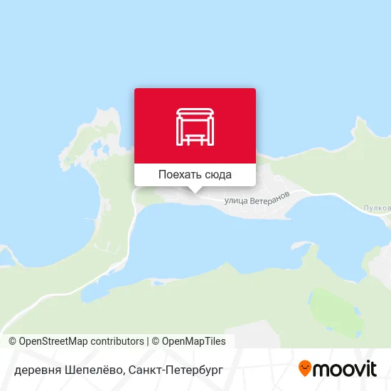 Карта деревня Шепелёво