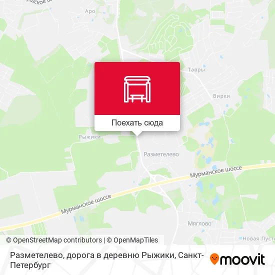 Карта Разметелево, дорога в деревню Рыжики
