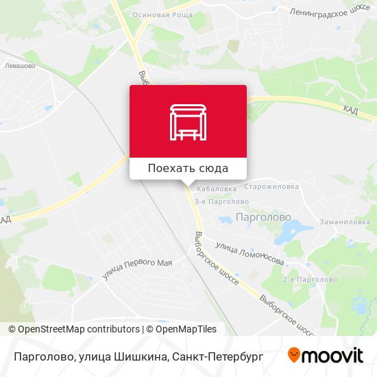 Карта Парголово, улица Шишкина