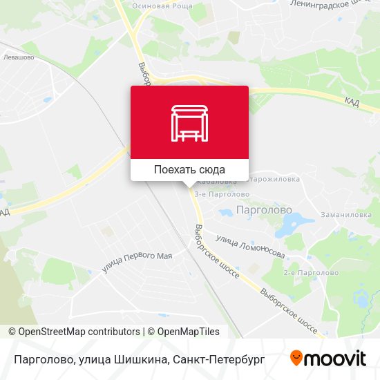 Карта Парголово, улица Шишкина