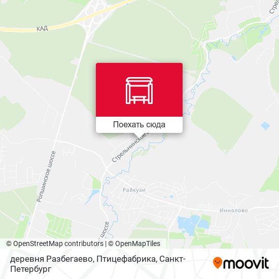 Карта деревня Разбегаево, Птицефабрика