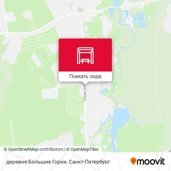 Карта деревня Большие Горки