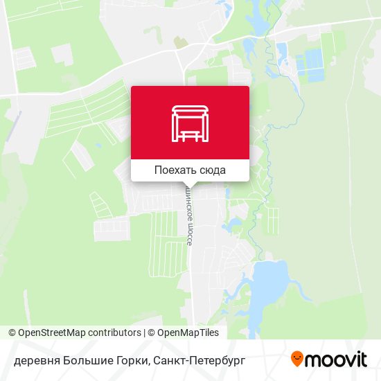 Карта деревня Большие Горки