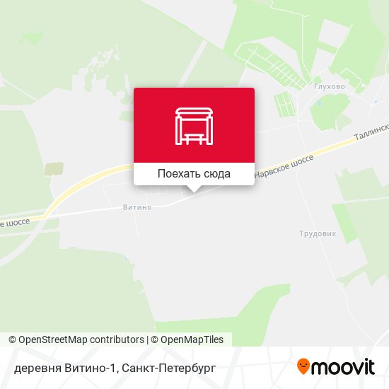 Карта деревня Витино-1