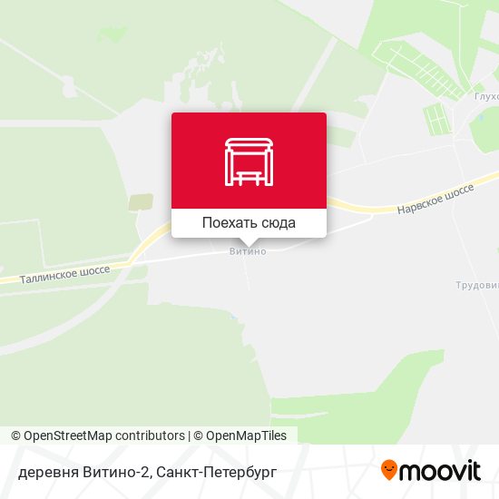 Карта деревня Витино-2