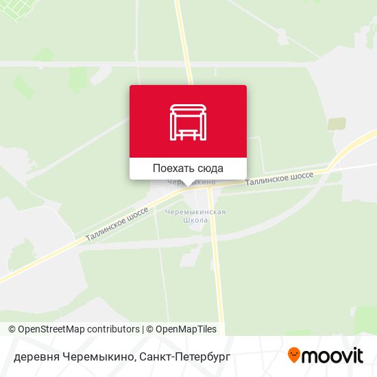 Карта деревня Черемыкино