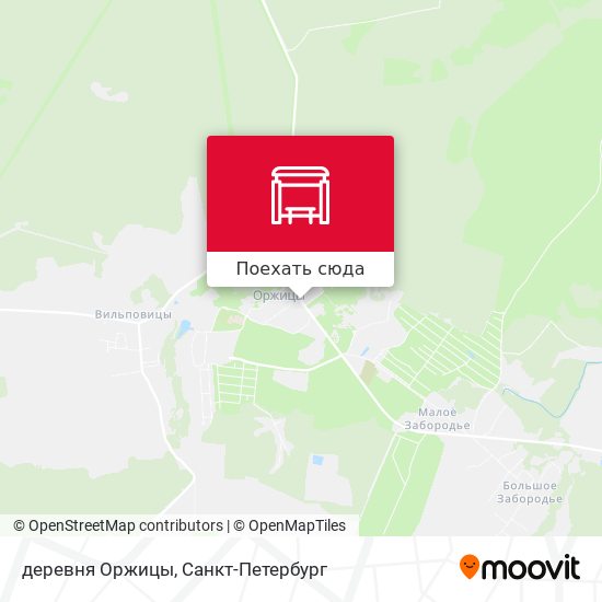 Карта деревня Оржицы