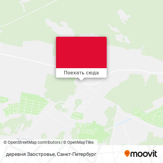 Карта деревня Заостровье