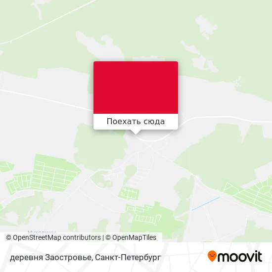 Карта деревня Заостровье