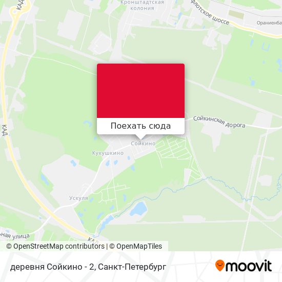 Карта деревня Сойкино - 2